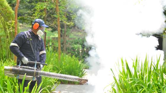 Best Practices for Pest Control in Residential Area - Atalian Cambodia