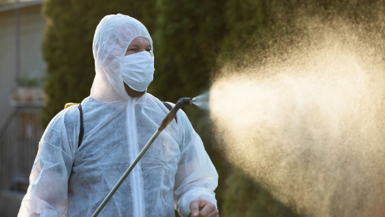 The Importance of Pest Control During a Pandemic